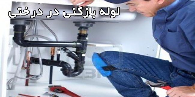 لوله بازکنی در درختی بصورت شبانه روزی لوله بازکنی در درختی بصورت شبانه روزی